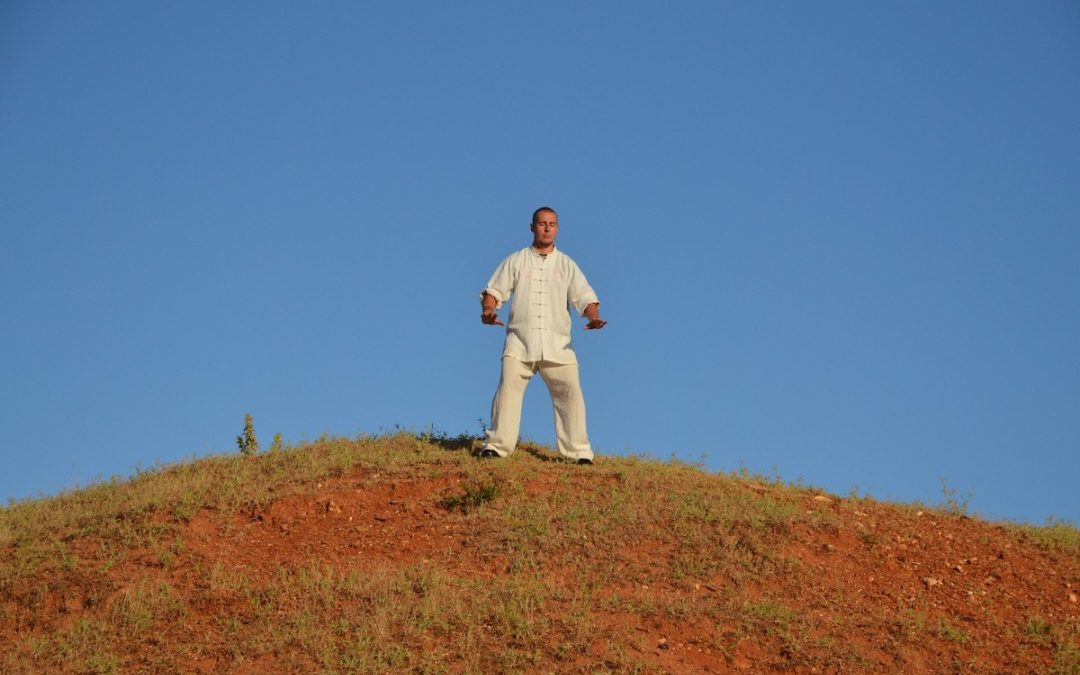 Wuji Posture