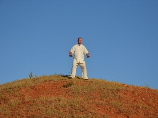 Wuji Posture
