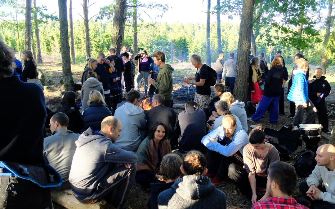 Party in the Forest