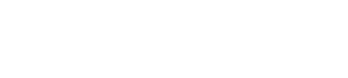 Lotus Nei Gong